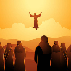 English homily June 1 2025: Ascension