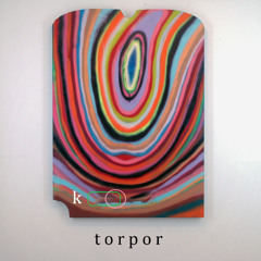 kamerafon - torpor - 08 USSRI