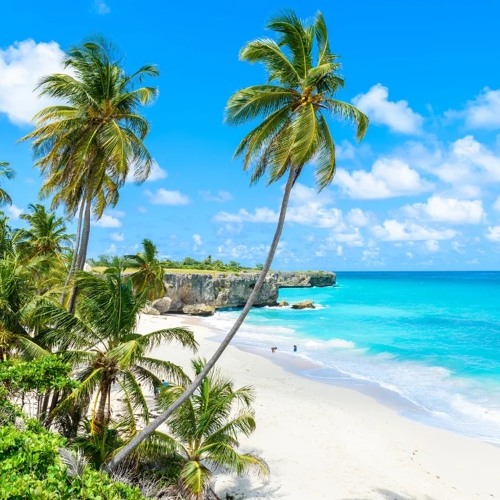 barbados 🌴