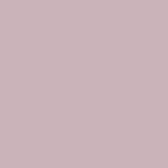 strip ; chris brown [slowed + reverb]