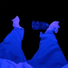 silverback ( part.2 )