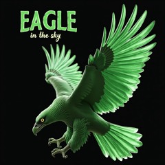 Eagle In The Sky