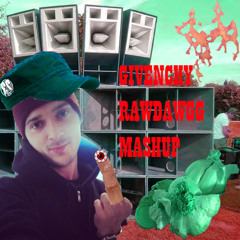 Robin Zoot ED - Givenchy ( DJ RAWDAWGG TIKTIKTEKK MASHUP )