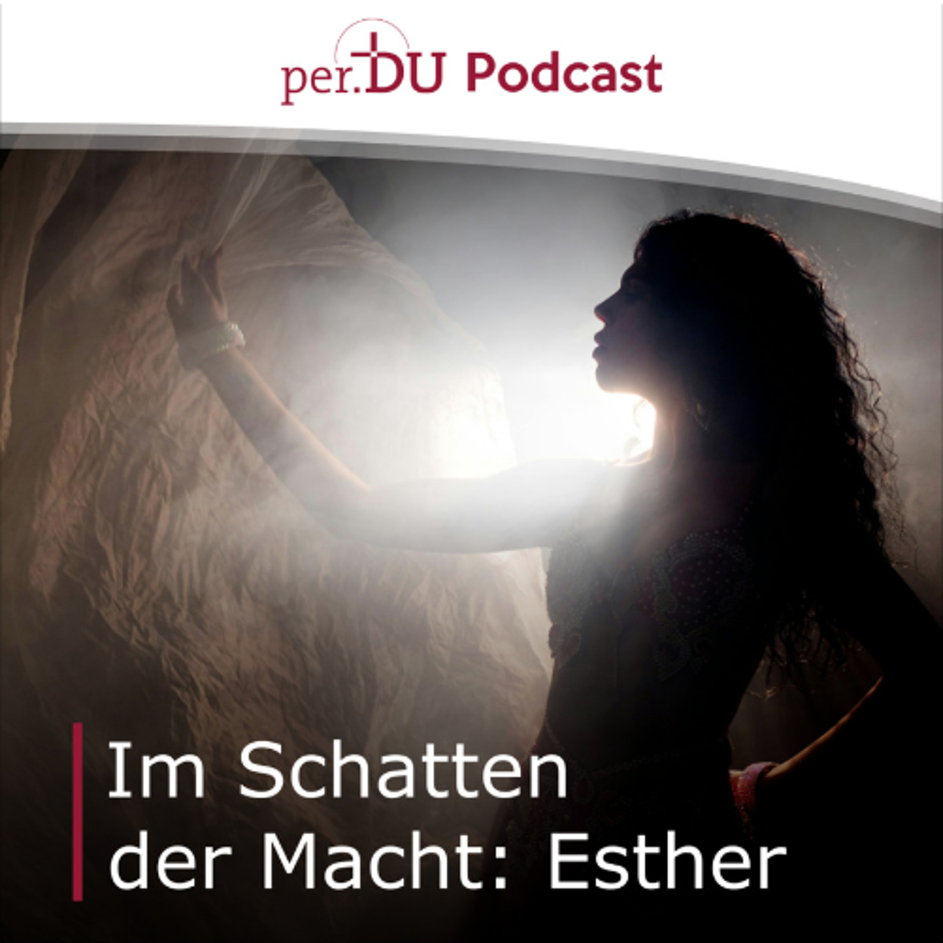 Im Schatten der Macht: Gottes verborgenes Wirken in Esther III - Johannes Schlageter