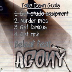TAKE DOWN GOALS - BELEAF X AGONY