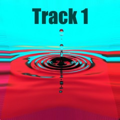 Track 1 (Demo)