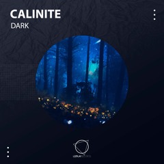 CALINITE - Dark (Original Mix) (LIZPLAY RECORDS)