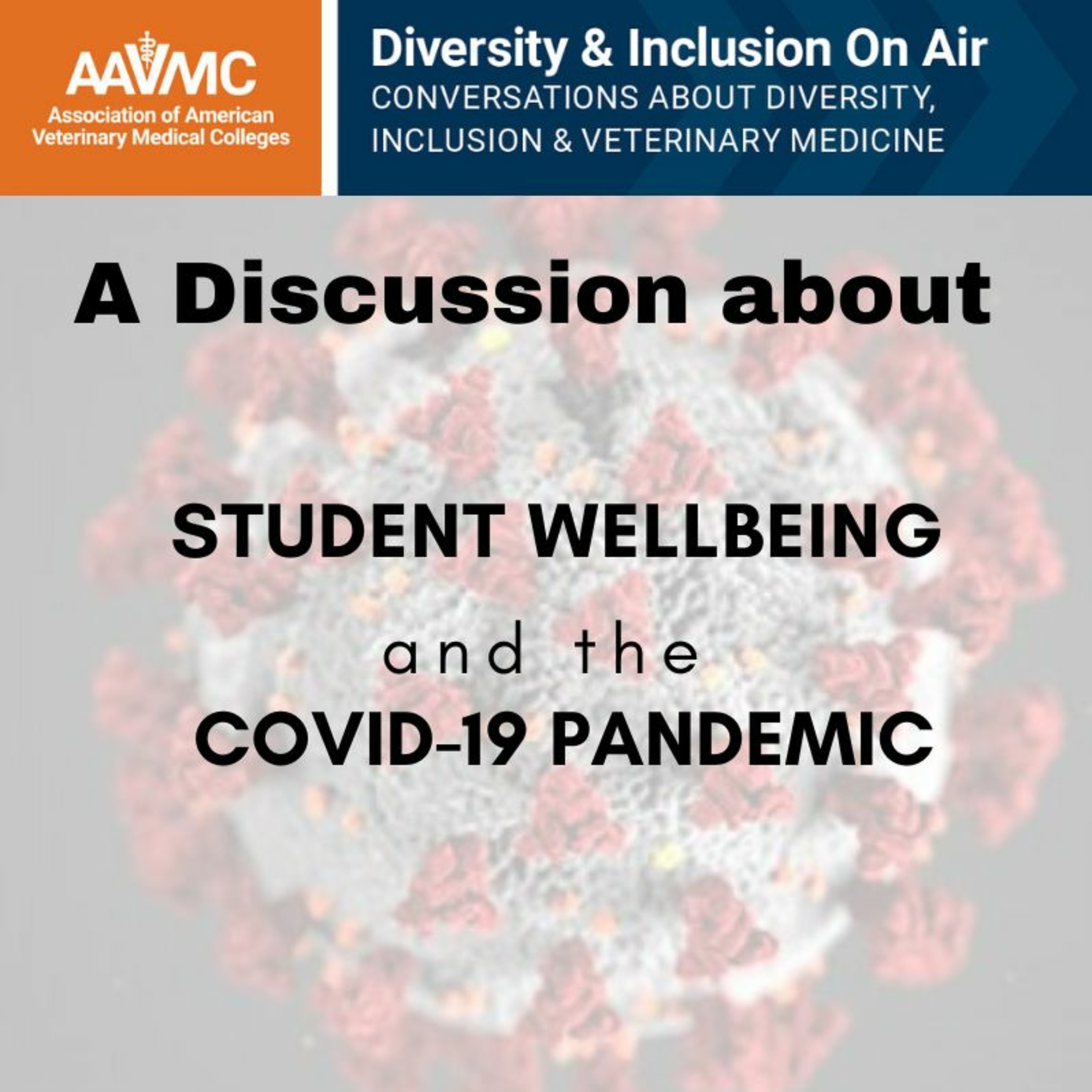 AAVMC\'s On Air: Conversations about Issues in Veterinary Medicine