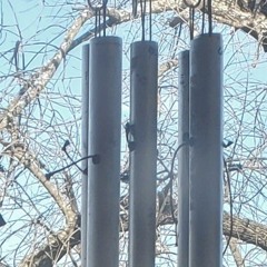 Birdsong windbells