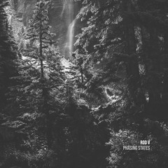 Rod V - Phasing States [Crossfade Sounds]