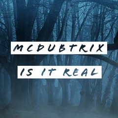 McDubtrix - Is It Real