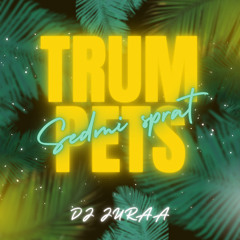 TRUMPETS X SEDMI SPRAT (DJ JURAA MASHUP)