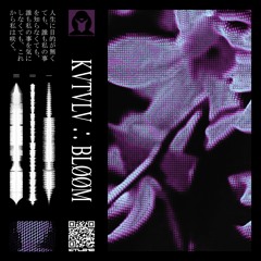 Bloom