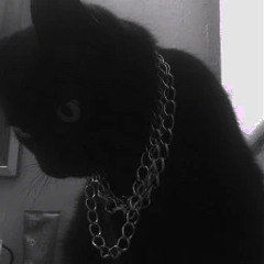 dämmitdöll freëstyle (prod. ilycrisis)