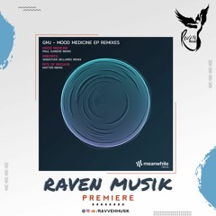 PREMIERE: GMJ - Rite Of Passage (Matter Remix) [Meanwhile]