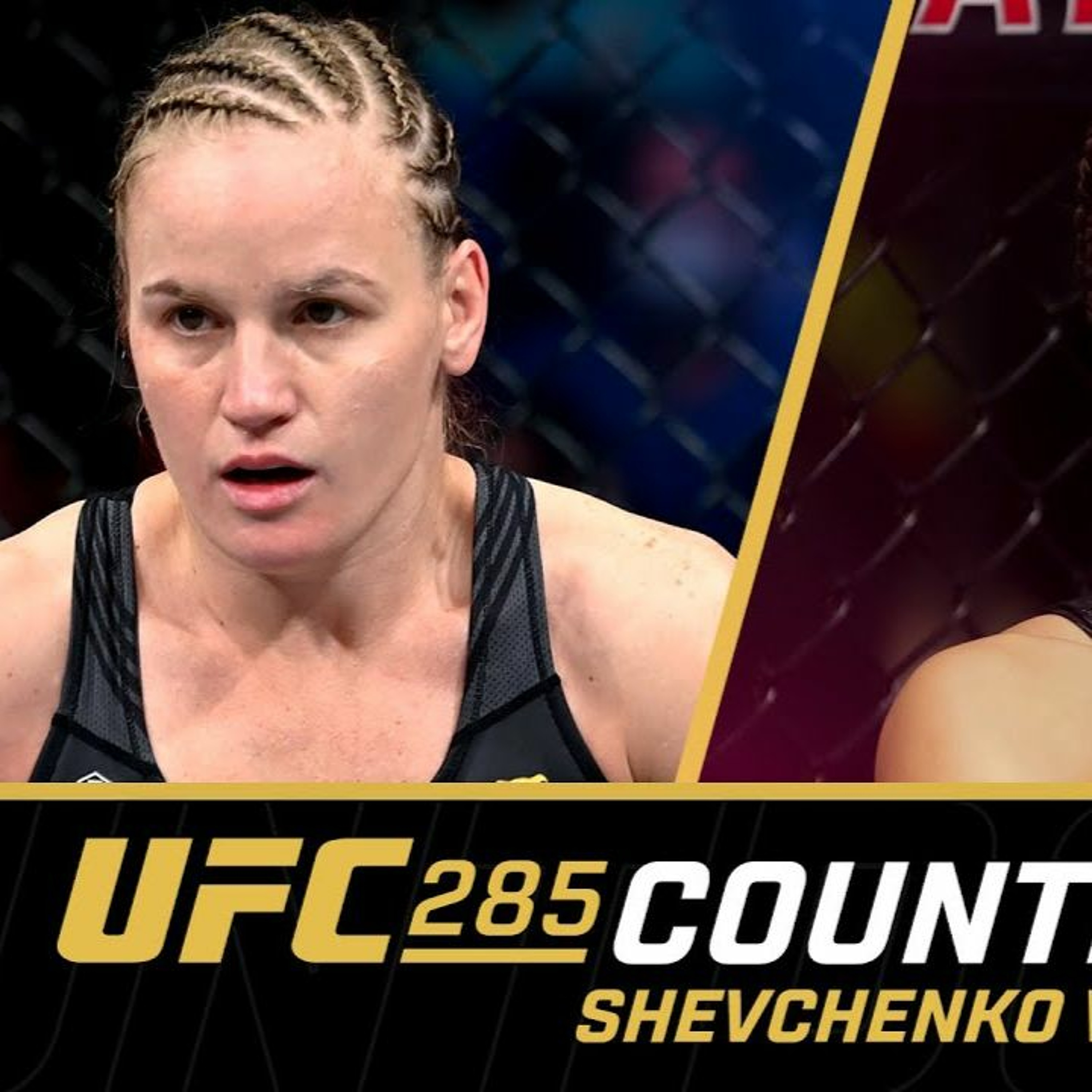 Another MMA Podcast