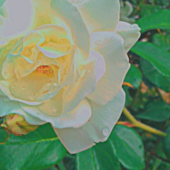 14 FRIDAY 2022 PIANO MIX BY DJ KAT