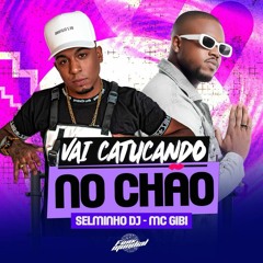 CATUCANDO NO CHÃO ((SELMINHO DJ)) MC GIBI
