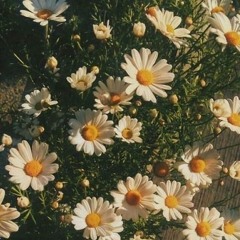 refrain