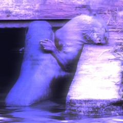 pa q lo bailen pegao<3