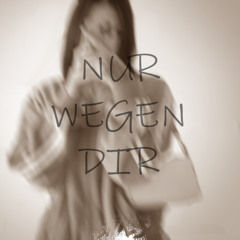 Nur wegen dir (SNIKLS Remix)