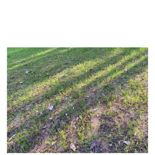 Walking Through a Dream