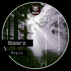 Baarz - Swarm Original Mix (RFR 005)