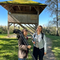 Die Nordlichter vom Chiemsee: Vogelbeobachtungsturm Seebruck