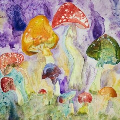 Rave Im Pilzwald
