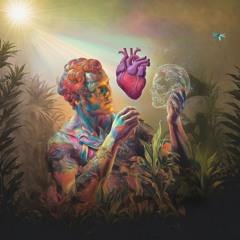 Head Or Heart