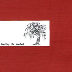 Braving The Seabed - Braving The Seabed (2000)