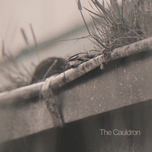 The Cauldron