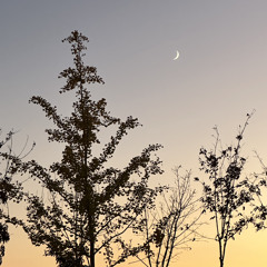 사랑하기 때문에 cover