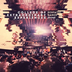 The College Of Extraordinary Experiences (Ecstatic Dance 20230822)