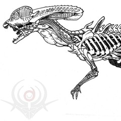SensorSaure-dilipho alien saurus 200bpm (wip)