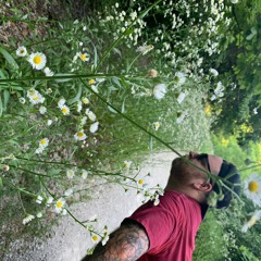 St. Paul and The Broken Bones - Apollo (Pherixx Beats Remix)