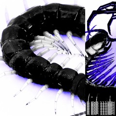 M.EXP.111324
