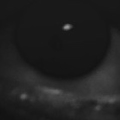 Broken You Left (Prod. Bloom x Lockhome)