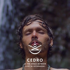 Cedro Is The Space Between (Live In Nicaragua)
