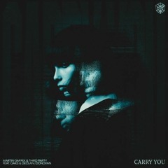 Martin Garrix & Third Party - Carry You (Andune Remix)