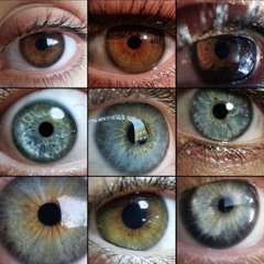 nur ein Mensch 🦍 type Freestyle