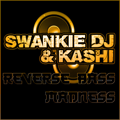 SWANKIE DJ & KASHI reverse bass madness (19.12.2024)