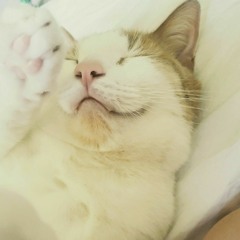 We've Only Just Begun - Carpenters Cover