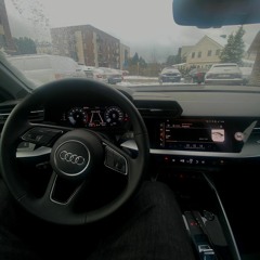 Grizzlis - Netikėjo