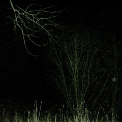 there's a hole in the ground and it takes you to heaven