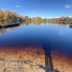 Kui tahaks häbist maa alla vajuda