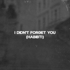 Tennebreck - I didn't forget you (habibti)[Extended]