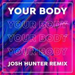 Tom Novy - Your Body (Josh Hunter Remix)