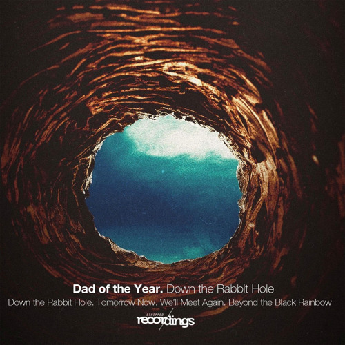 Dad of the Year - Down the Rabbit Hole (Original Mix) Stripped Recordings