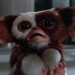 They Don't Want This House